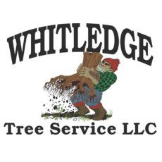 Whitledge